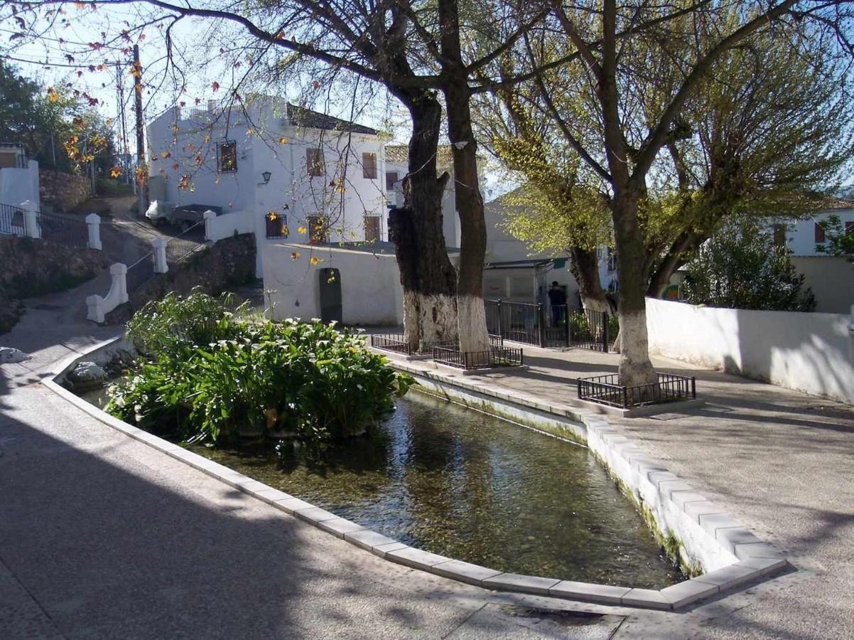 Sierra Alcaide Villa Zagrilla Eksteriør billede